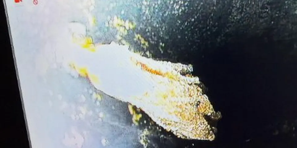 Camera monitor showing root intrusion inside a sewer line for Tree Roots in Lakewood Sewer Lines: Why It Keeps Happening and the