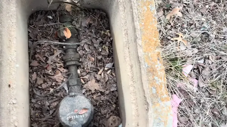 Outdoor hose bib and water shutoff in a meter box for 24/7 Emergency Plumber in Lakewood, CA
