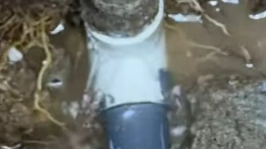 PVC repair section tied into an older sewer line for Sewer Line Repair in Lakewood, CA