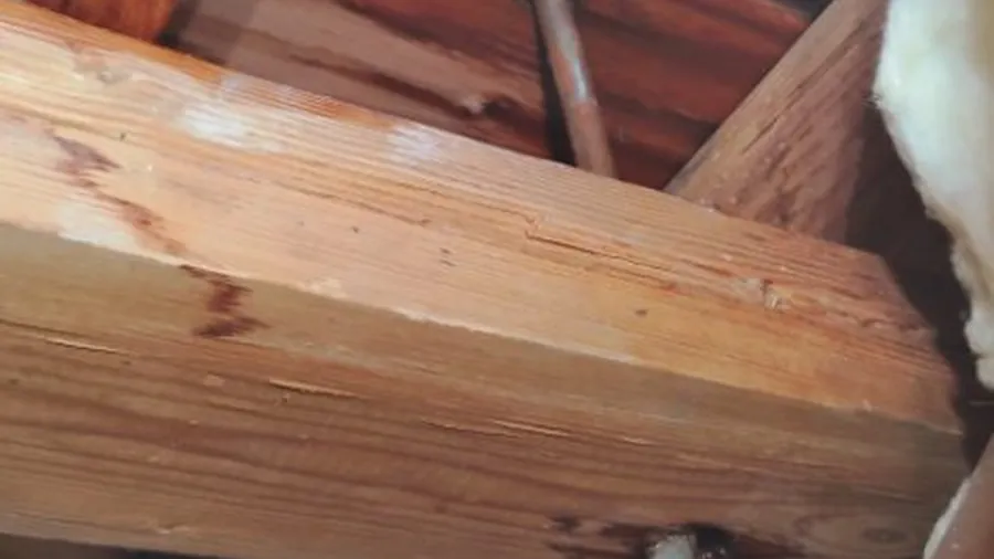 Small access opening under floor framing for slab leak work for Leak Detection in Lakewood, CA