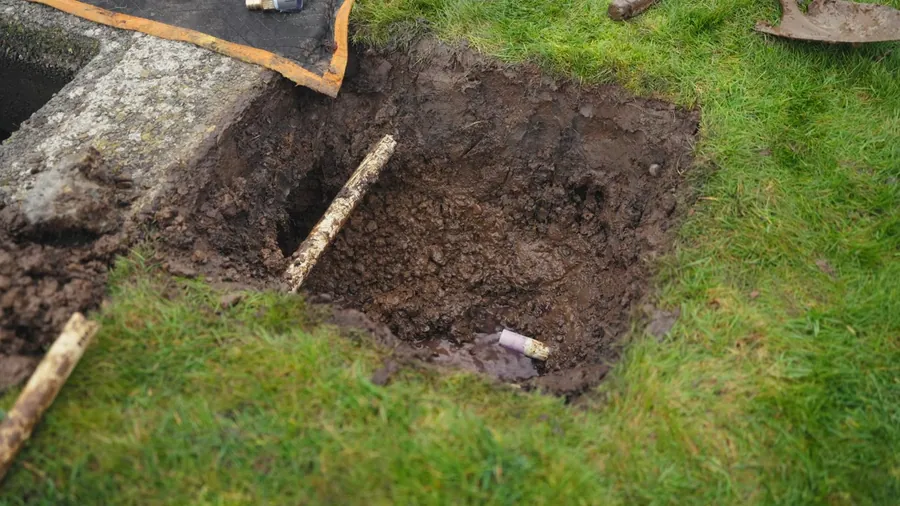 Yard excavation around roots and buried sewer piping for Tree Roots in Lakewood Sewer Lines: Why It Keeps Happening and the